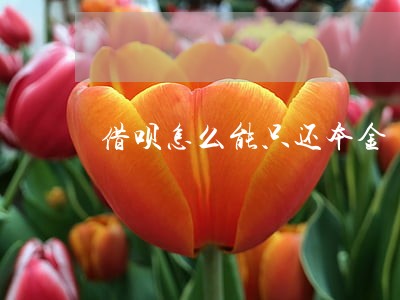 借呗怎么能只还本金 借呗怎么能只还本金