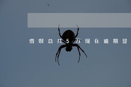 借呗总共5万现在逾期显示10万 借呗总共5万现在逾期显示10万