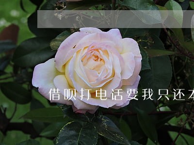 借呗打电话要我只还本金 借呗打电话要我只还本金