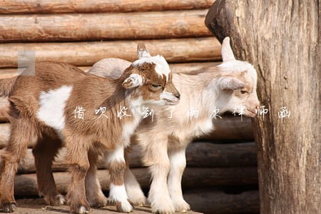 借呗收到了两次律师函 借呗收到了两次律师函