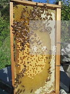 借呗有2次逾期影响买房吗