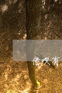 借呗有欠款可以只还本金吗 借呗有欠款可以只还本金吗