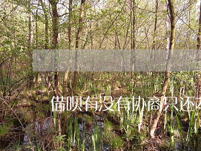 借呗有没有协商只还本金分期的 借呗有没有协商只还本金分期的