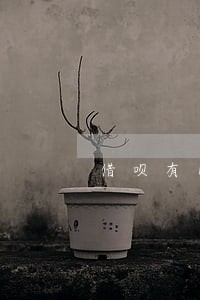 借呗有网商贷存在逾期 借呗有网商贷存在逾期