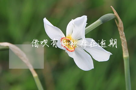 借呗有贷款存在逾期 借呗有贷款存在逾期