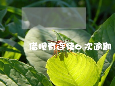 借呗有连续6次逾期 借呗有连续6次逾期