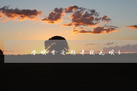 借呗有逾期导致花呗6 借呗有逾期导致花呗6