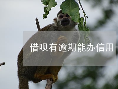 借呗有逾期能办信用卡吗 借呗有逾期能办信用卡吗