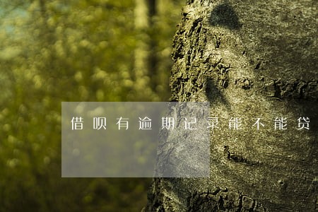 借呗有逾期记录能不能贷款 借呗有逾期记录能不能贷款