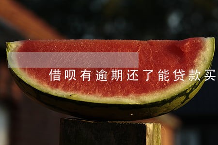 借呗有逾期还了能贷款买车吗 借呗有逾期还了能贷款买车吗
