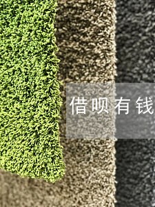 借呗有钱花逾期怎么分60期 借呗有钱花逾期怎么分60期