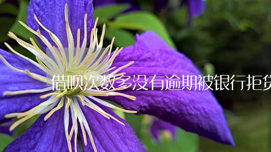 借呗次数多没有逾期被银行拒贷 借呗次数多没有逾期被银行拒贷