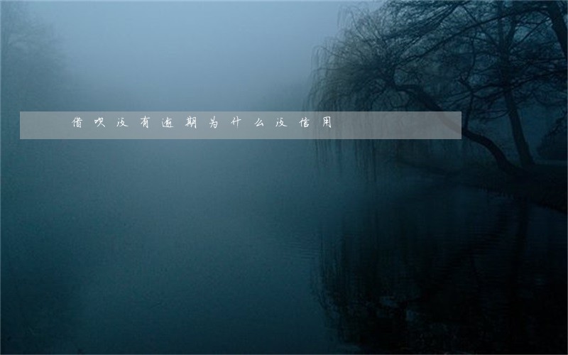 借呗没有逾期为什么没信用 借呗没有逾期为什么没信用