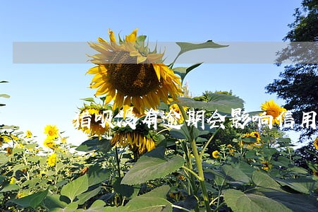 借呗没有逾期会影响信用吗 借呗没有逾期会影响信用吗