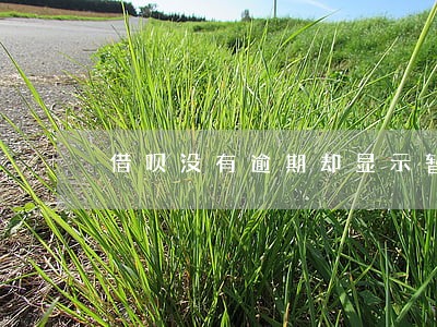 借呗没有逾期却显示暂无信用额度 借呗没有逾期却显示暂无信用额度