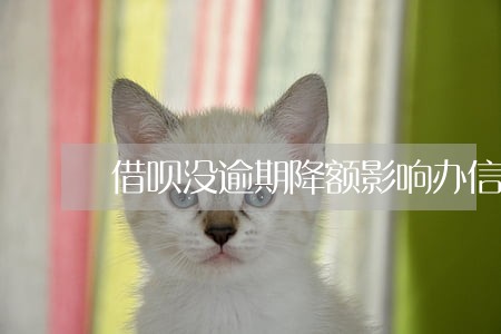 借呗没逾期降额影响办信用卡吗 借呗没逾期降额影响办信用卡吗