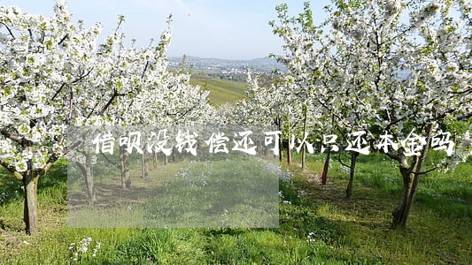 借呗没钱偿还可以只还本金吗 借呗没钱偿还可以只还本金吗