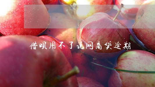 借呗用不了说网商贷逾期 借呗用不了说网商贷逾期
