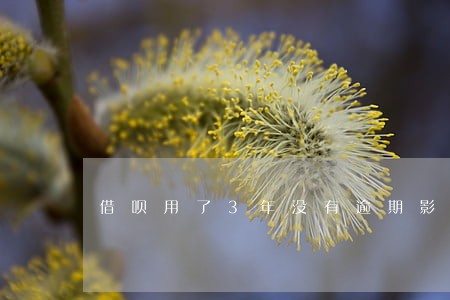 借呗用了3年没有逾期影响房贷吗 借呗用了3年没有逾期影响房贷吗