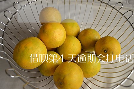 借呗第4天逾期会打电话吗 借呗第4天逾期会打电话吗