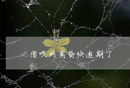 借呗网商贷快逾期了 借呗网商贷快逾期了
