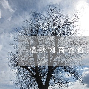 借呗网商贷逾期 借呗网商贷逾期