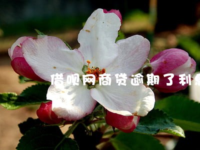 借呗网商贷逾期了利息大吗 借呗网商贷逾期了利息大吗