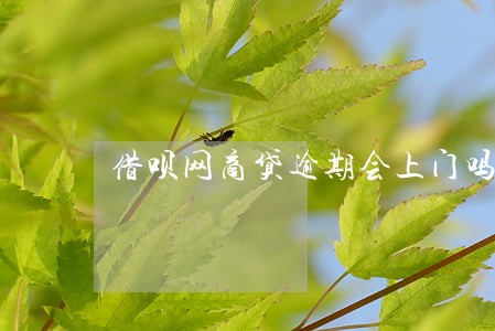 借呗网商贷逾期会上门吗 借呗网商贷逾期会上门吗