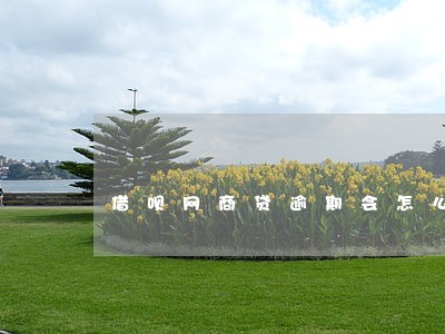 借呗网商贷逾期会怎么样 借呗网商贷逾期会怎么样