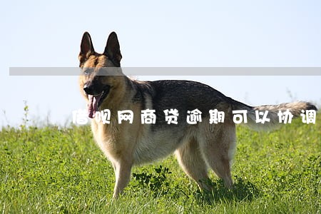 借呗网商贷逾期可以协调还款吗 借呗网商贷逾期可以协调还款吗