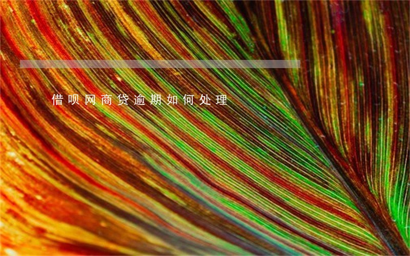 借呗网商贷逾期如何处理 借呗网商贷逾期如何处理