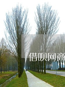 借呗网商贷逾期已两天 借呗网商贷逾期已两天