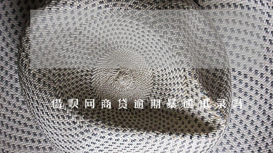 借呗网商贷逾期暴通讯录吗 借呗网商贷逾期暴通讯录吗