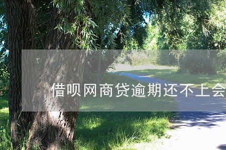 借呗网商贷逾期还不上会坐牢