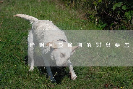 借呗网贷逾期的罚息要怎么算 借呗网贷逾期的罚息要怎么算