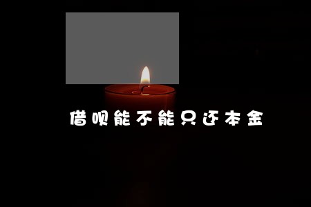 借呗能不能只还本金 借呗能不能只还本金