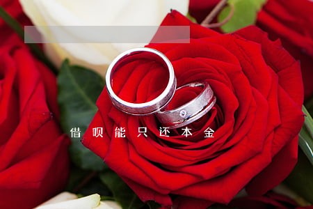 借呗能只还本金 借呗能只还本金