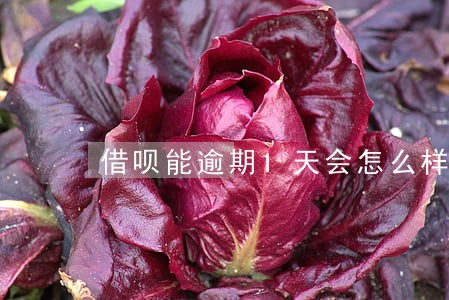 借呗能逾期1天会怎么样 借呗能逾期1天会怎么样