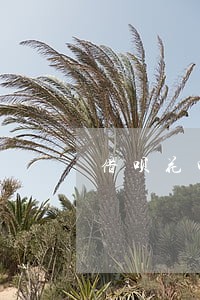 借呗花呗网商贷都逾期了 借呗花呗网商贷都逾期了