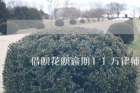 借呗花呗逾期11万律师函 借呗花呗逾期11万律师函