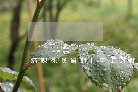 借呗花呗逾期1年上门催收 借呗花呗逾期1年上门催收