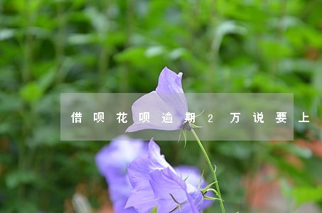 借呗花呗逾期2万说要上门 借呗花呗逾期2万说要上门