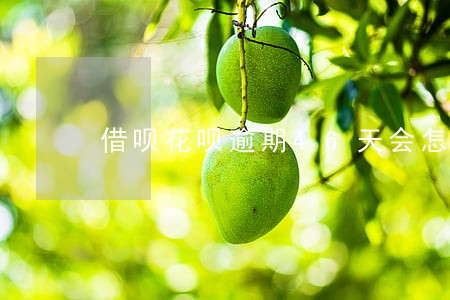 借呗花呗逾期46天会怎么样 借呗花呗逾期46天会怎么样