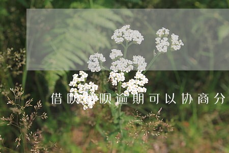 借呗花呗逾期可以协商分36期吗 借呗花呗逾期可以协商分36期吗