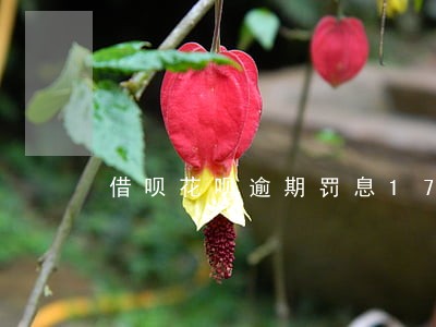借呗花呗逾期罚息1700元 借呗花呗逾期罚息1700元