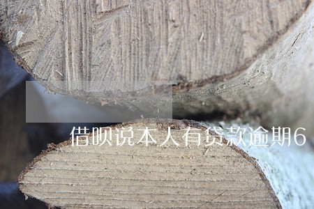 借呗说本人有贷款逾期6