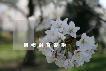 借呗财富逾期 借呗财富逾期