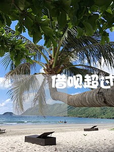 借呗超过100多次无逾期