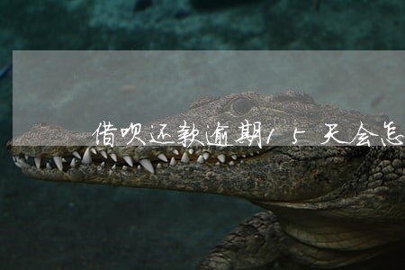 借呗还款逾期15天会怎样 借呗还款逾期15天会怎样