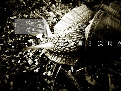 借呗连续逾期3次每次逾期一天 借呗连续逾期3次每次逾期一天